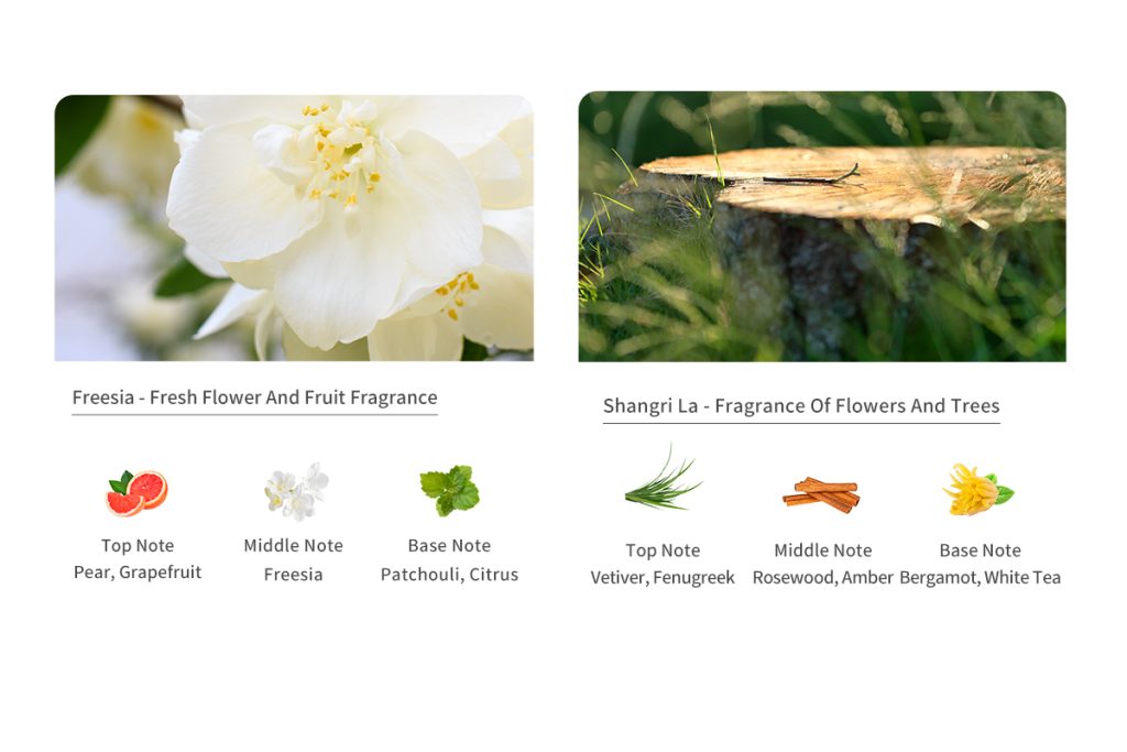 Aromatherapy Machine-5