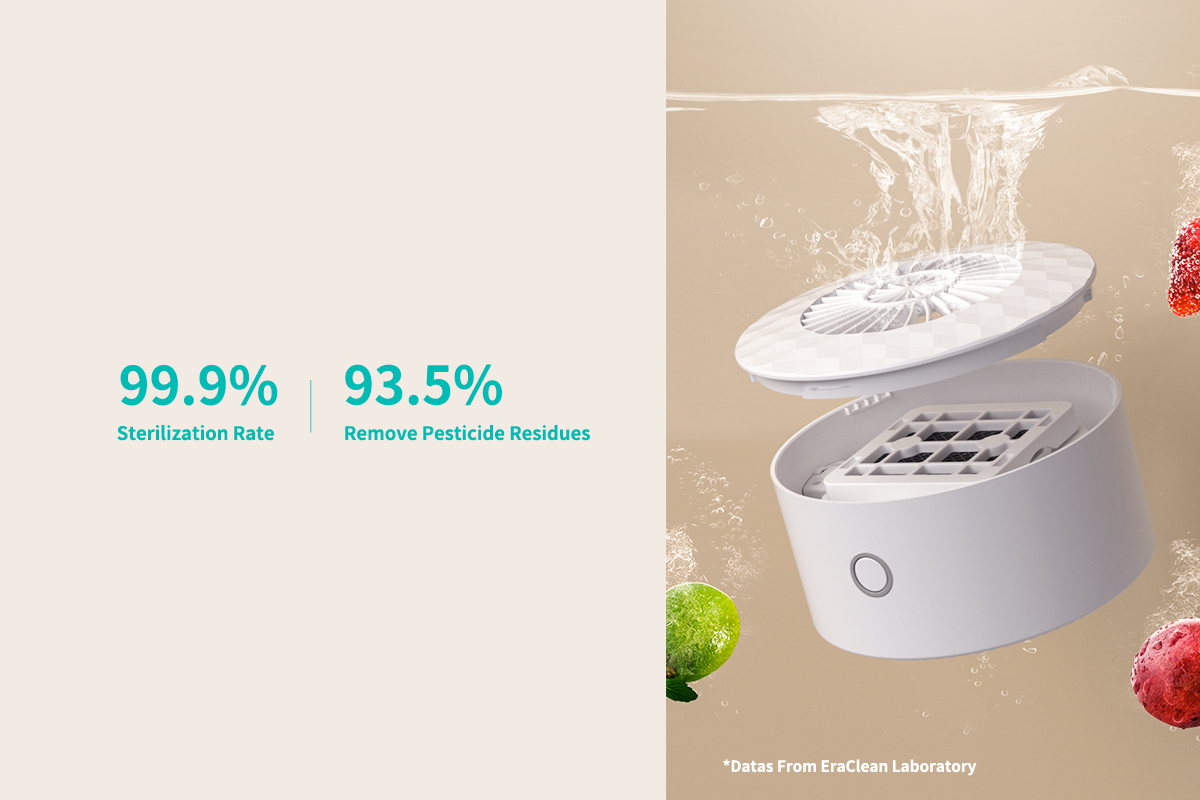 Vegetable and Fruits Washer-5