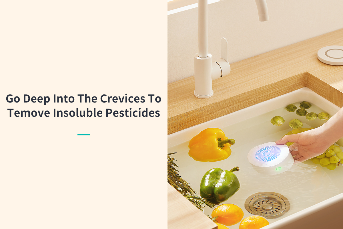 Vegetable and Fruits Washer-10