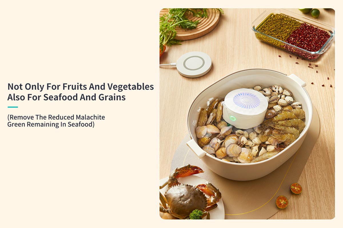 Vegetable and Fruits Washer-11