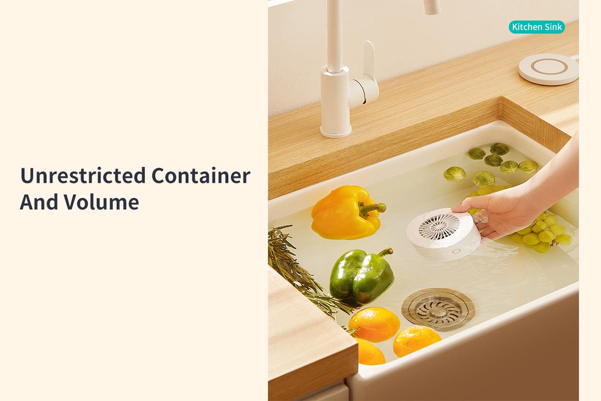 Vegetable and Fruits Washer-13