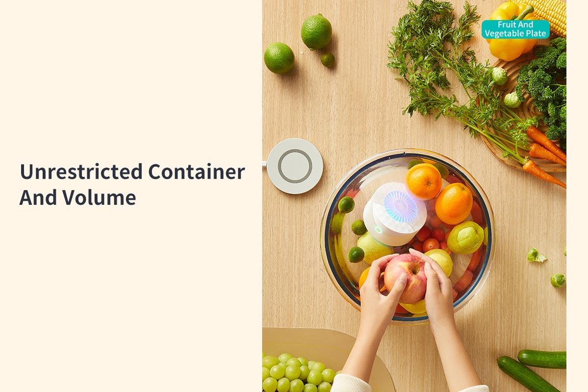 Vegetable and Fruits Washer-14