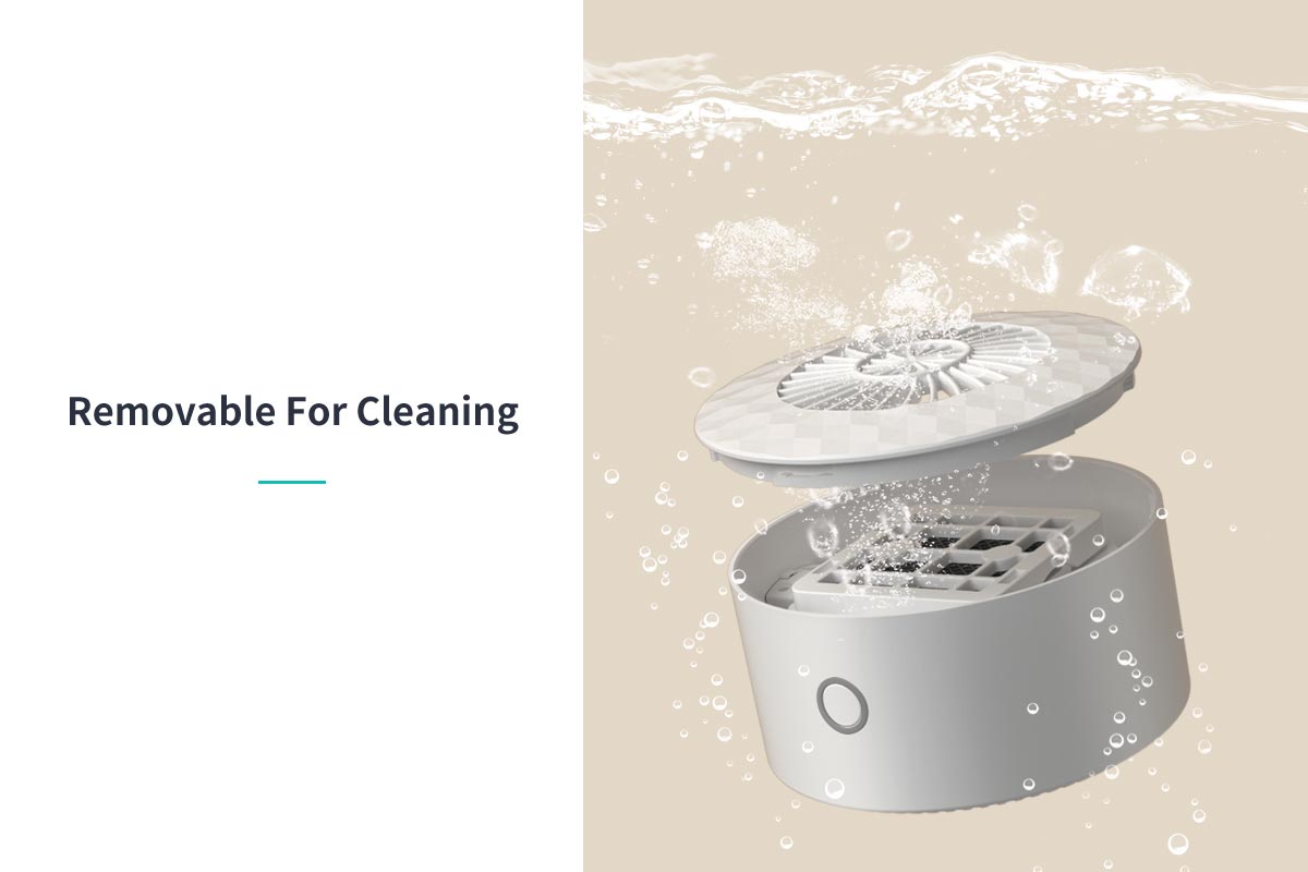 Vegetable and Fruits Washer-17