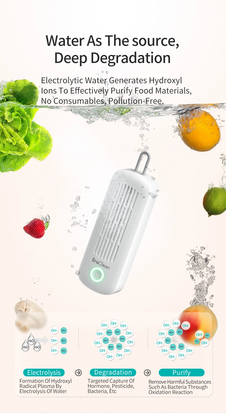 Vegetable Cleaner Machine 3