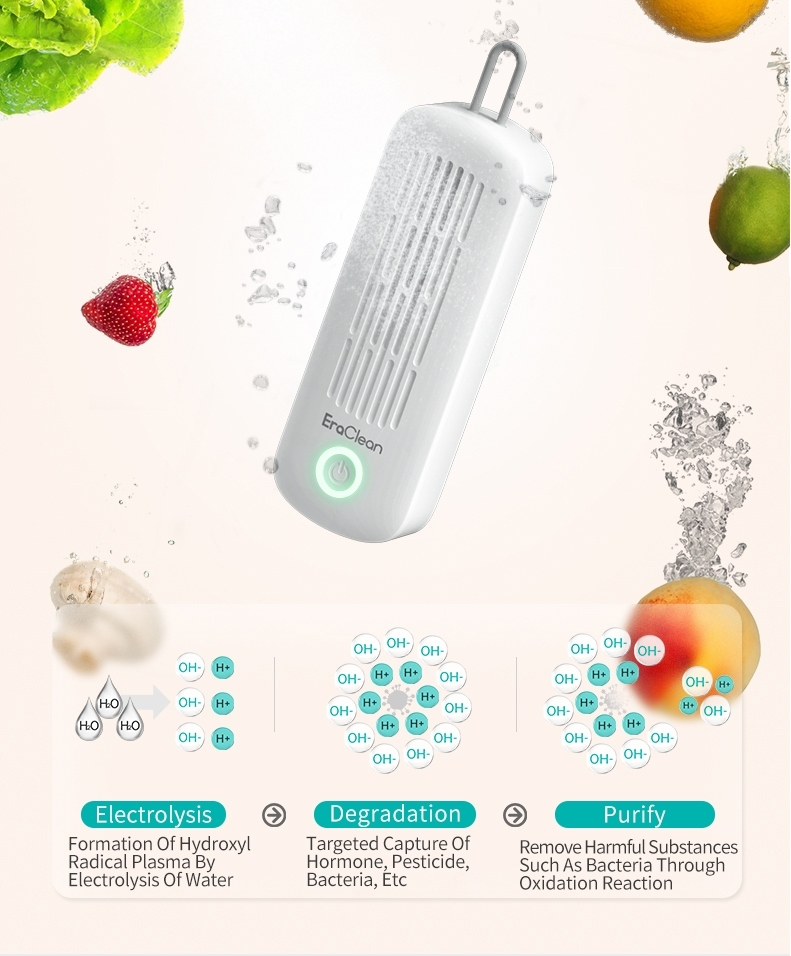Fruit Cleaner Machine 2