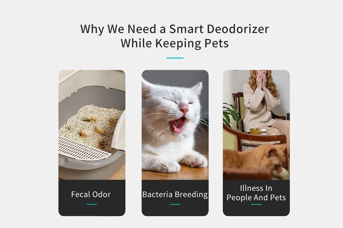 best Pet deodorizer