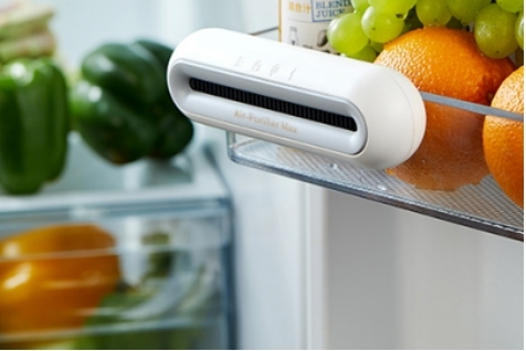 refrigerator deodorizer