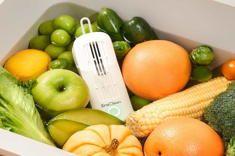fruit and vegetable cleaner1